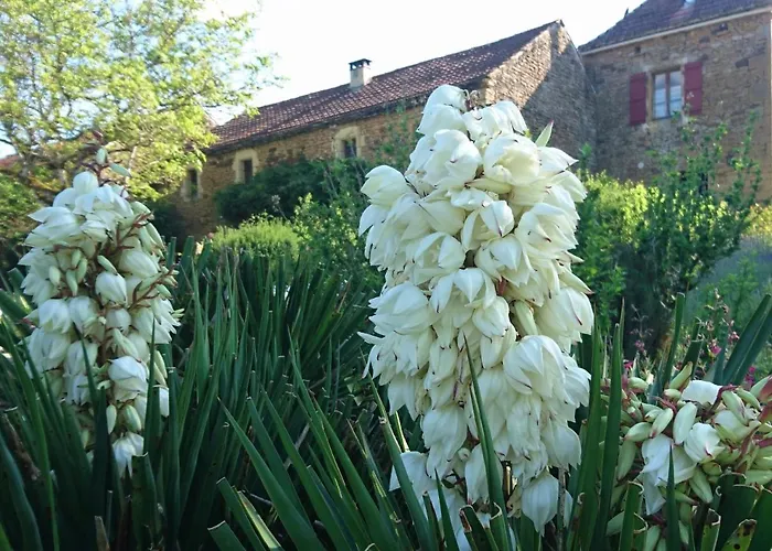 Casa vacanze La Libellule And Le Papillon At Les Leroux, Near *