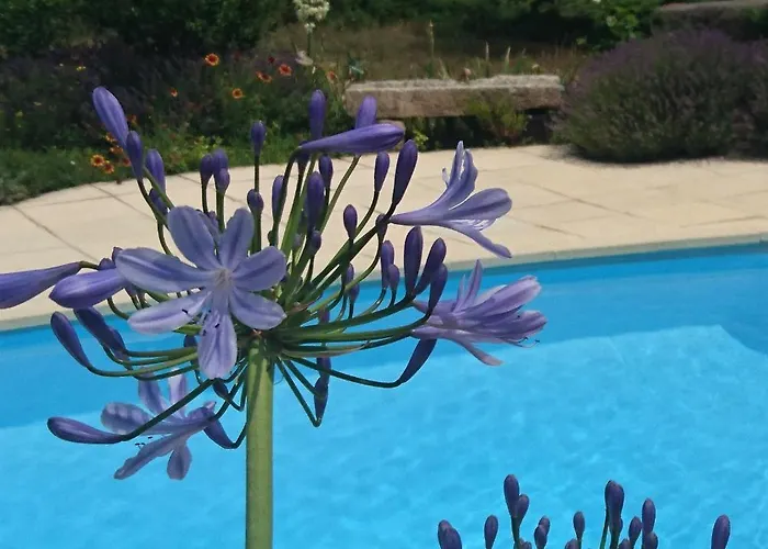 La Libellule And Le Papillon At Les Leroux, Near Frayssinet-le-Gélat