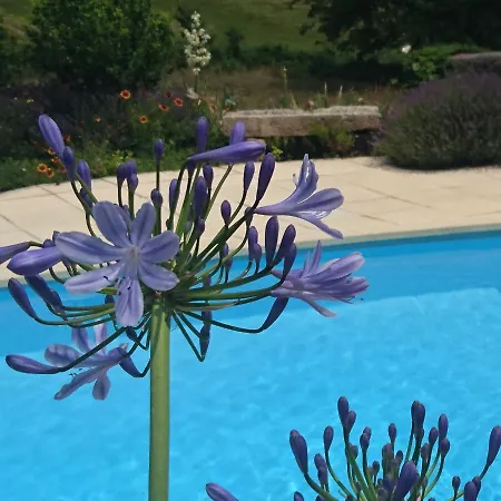 La Libellule And Le Papillon At Les Leroux, Near Frayssinet-le-Gélat