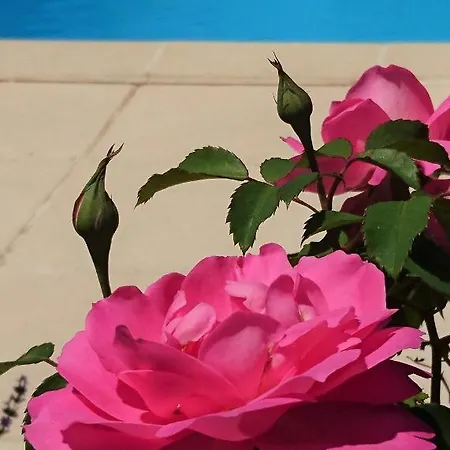 La Libellule And Le Papillon At Les Leroux, Near Frayssinet-le-Gélat