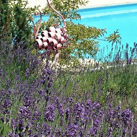 Feriehus La Libellule And Le Papillon At Les Leroux, Near Frayssinet-le-Gélat