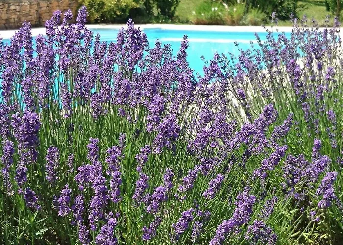 La Libellule And Le Papillon At Les Leroux, Near Frayssinet-le-Gelat