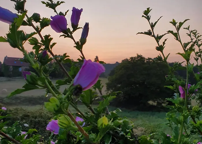 La Libellule And Le Papillon At Les Leroux, Near Holiday home Frayssinet-le-Gelat